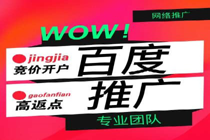 竞价推广SEM托管实战案例，揭秘高转化策略
